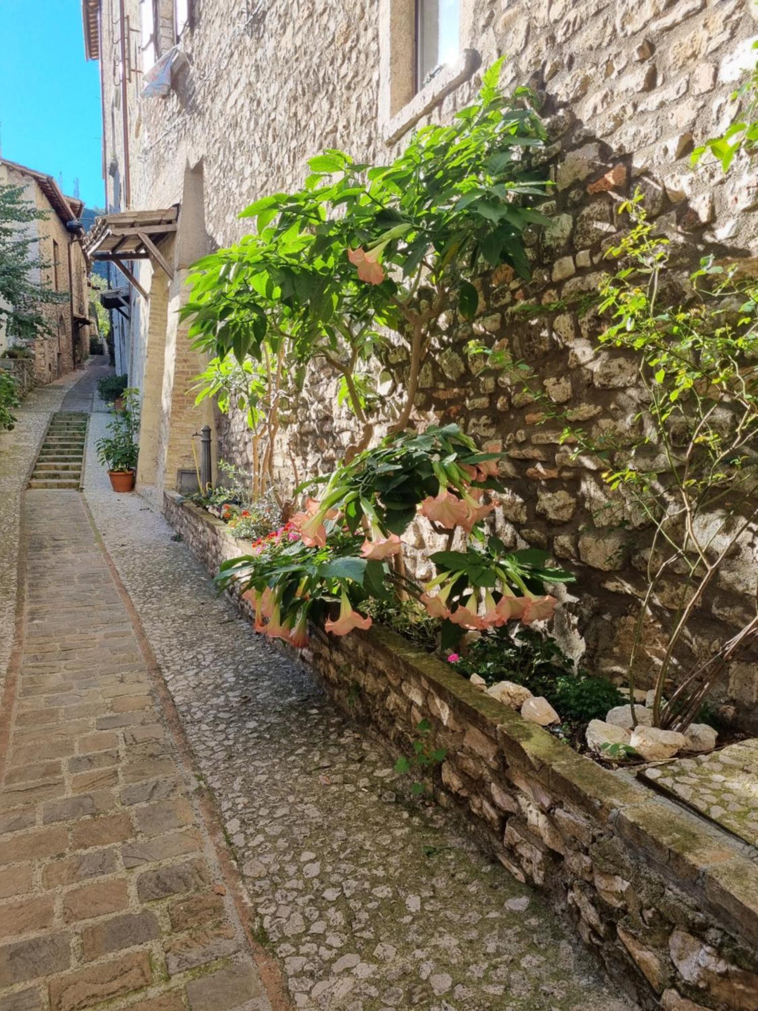 Cuore Del Castello Arrone Exteriör bild